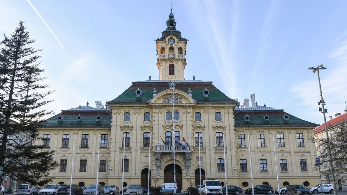 Szeged, önkormányzat, támogatás, igénylés