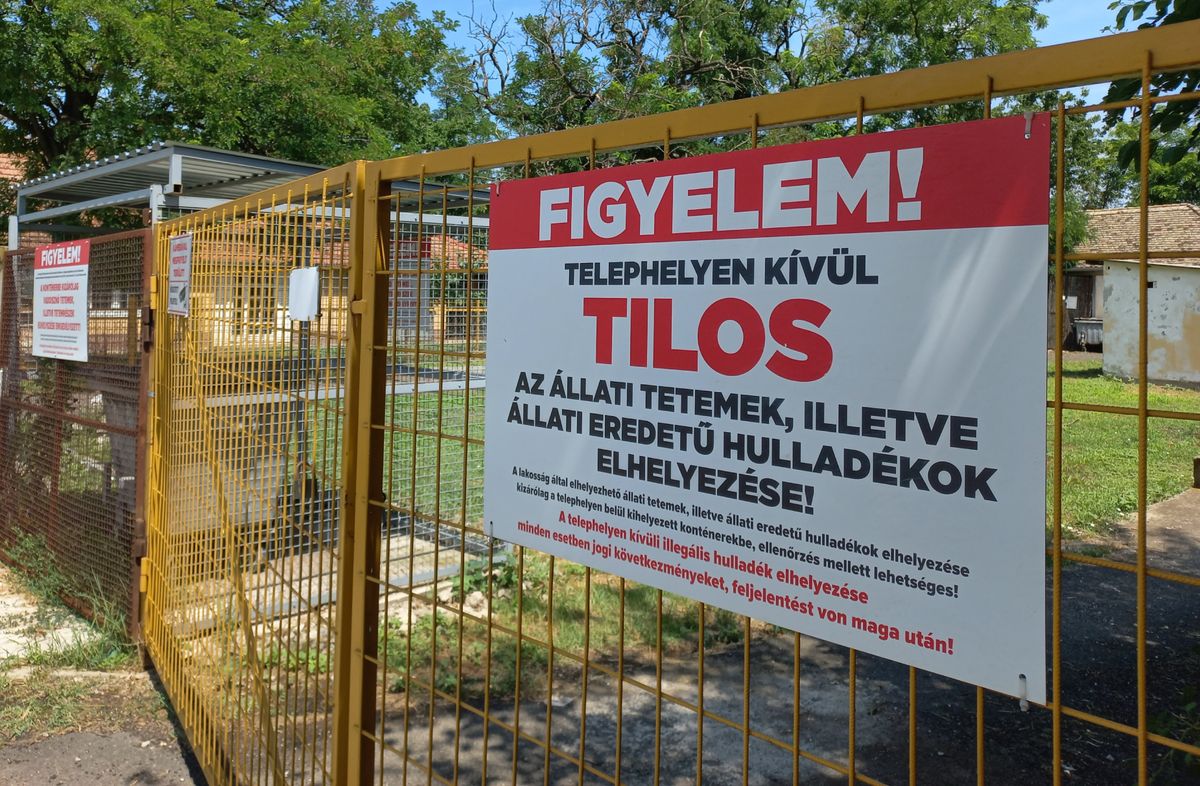 Gyepmesteri telep Makón.