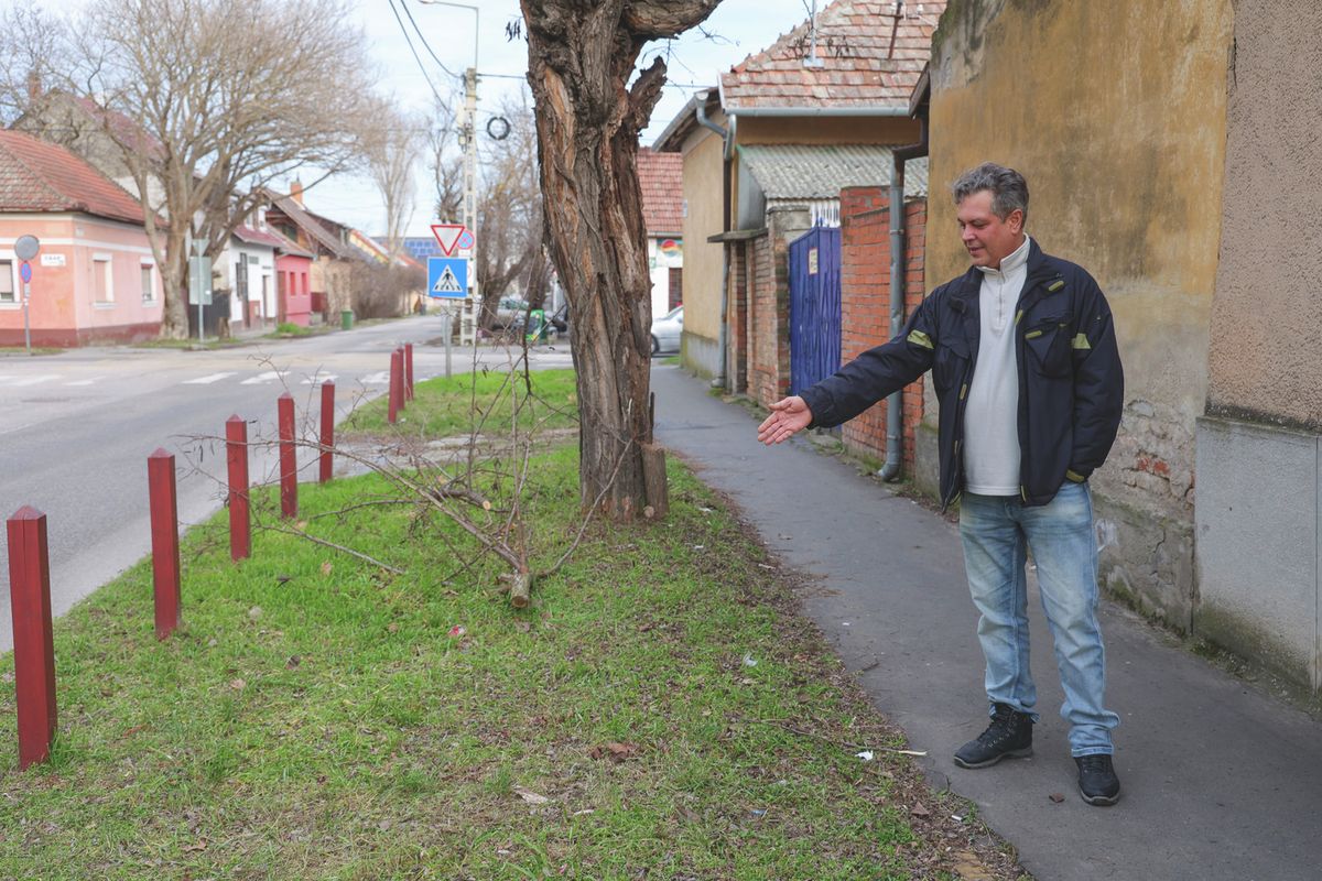 újraélesztés
