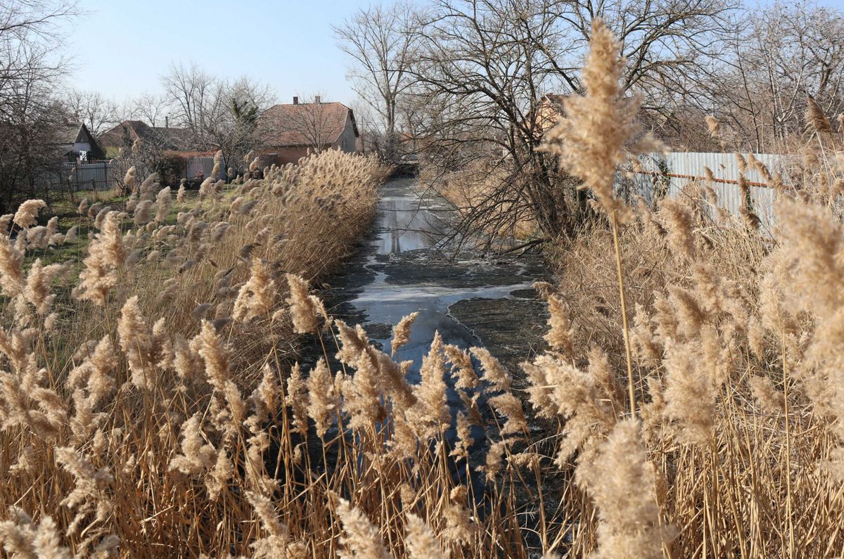 Nagyér, Makó, bűz