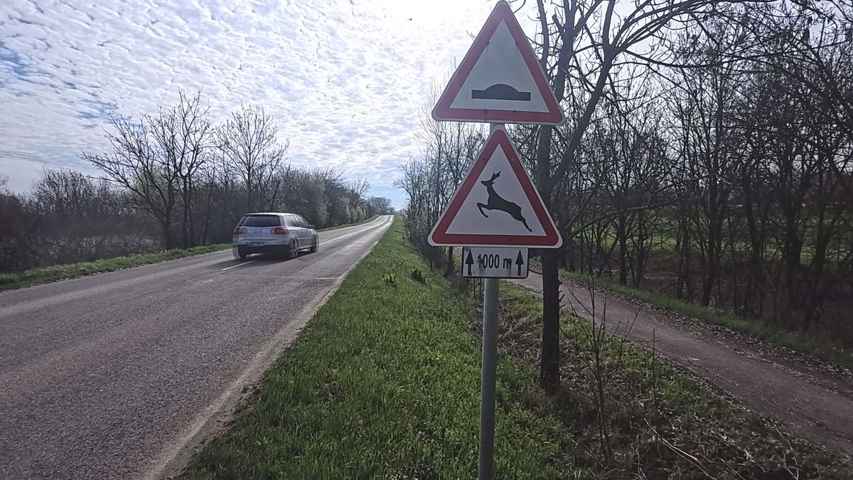 halálos gázolás