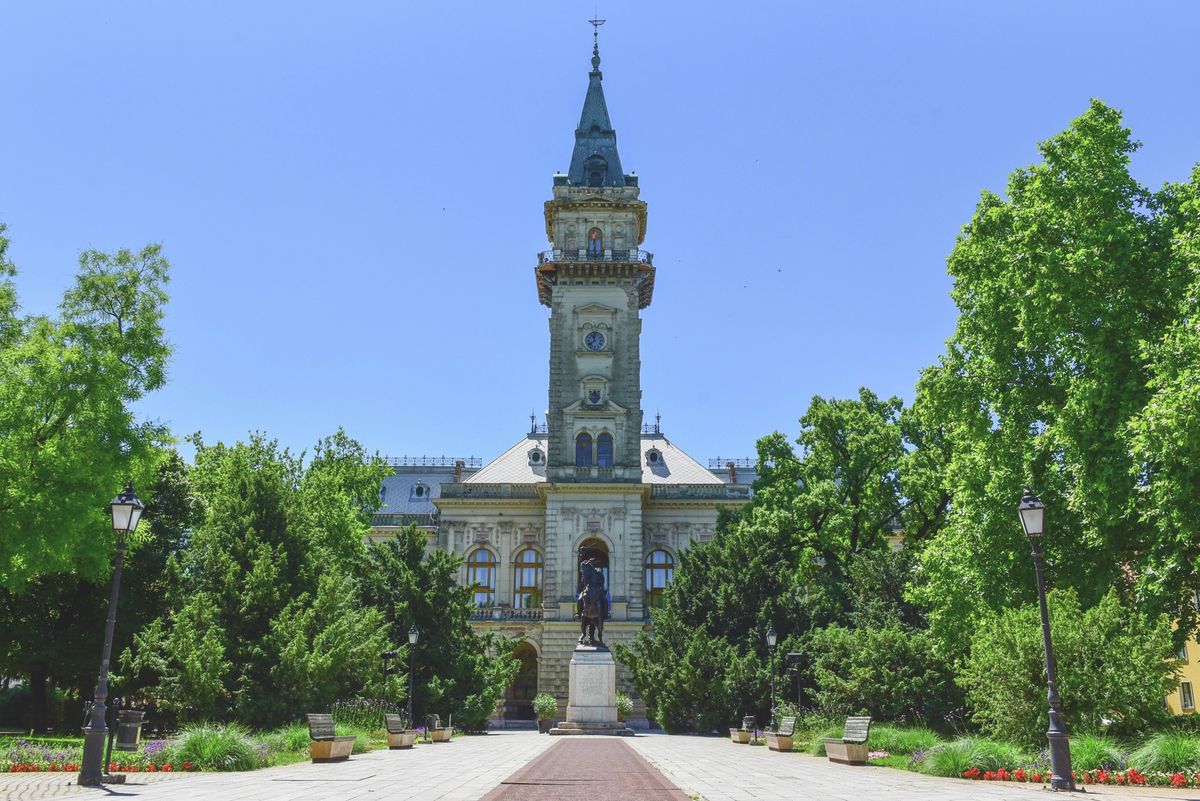 képviselők, közgyűlés