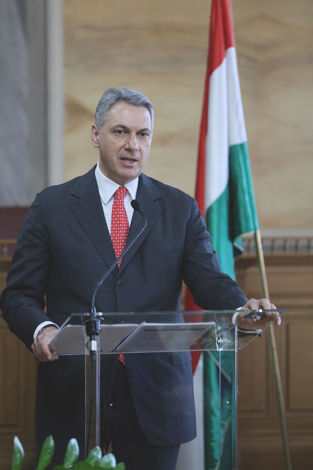 készpénzhasználat, kormány