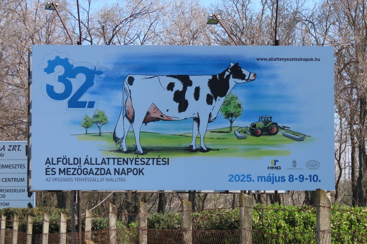 állattenyésztési napok
