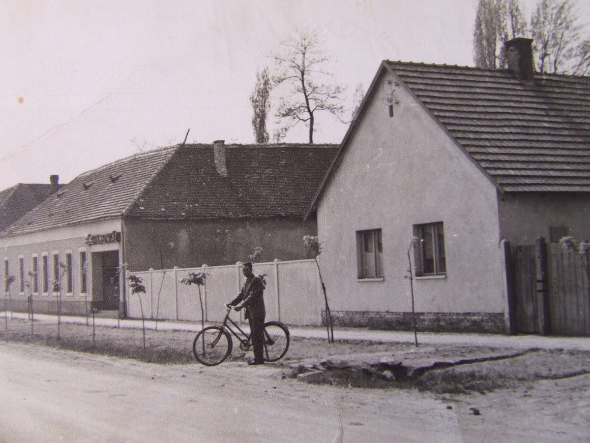 filmszínház, filmvetítés