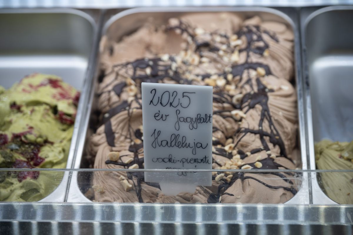 halleluja, Szeged, fagylalt