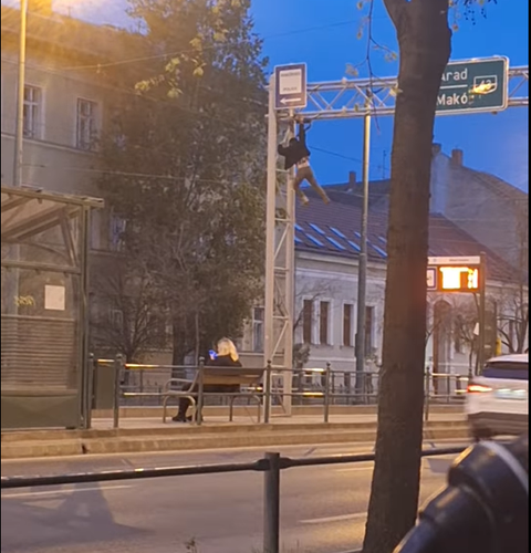 oszlop