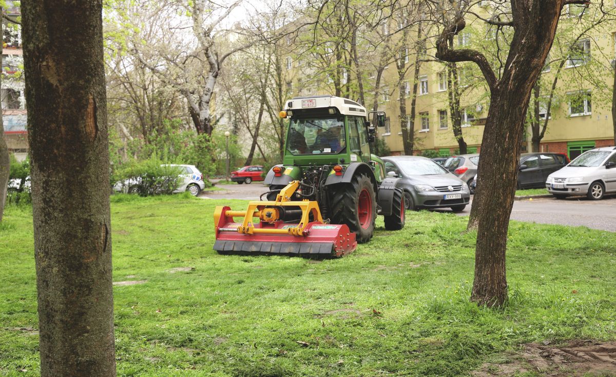 támadnak a kullancsok