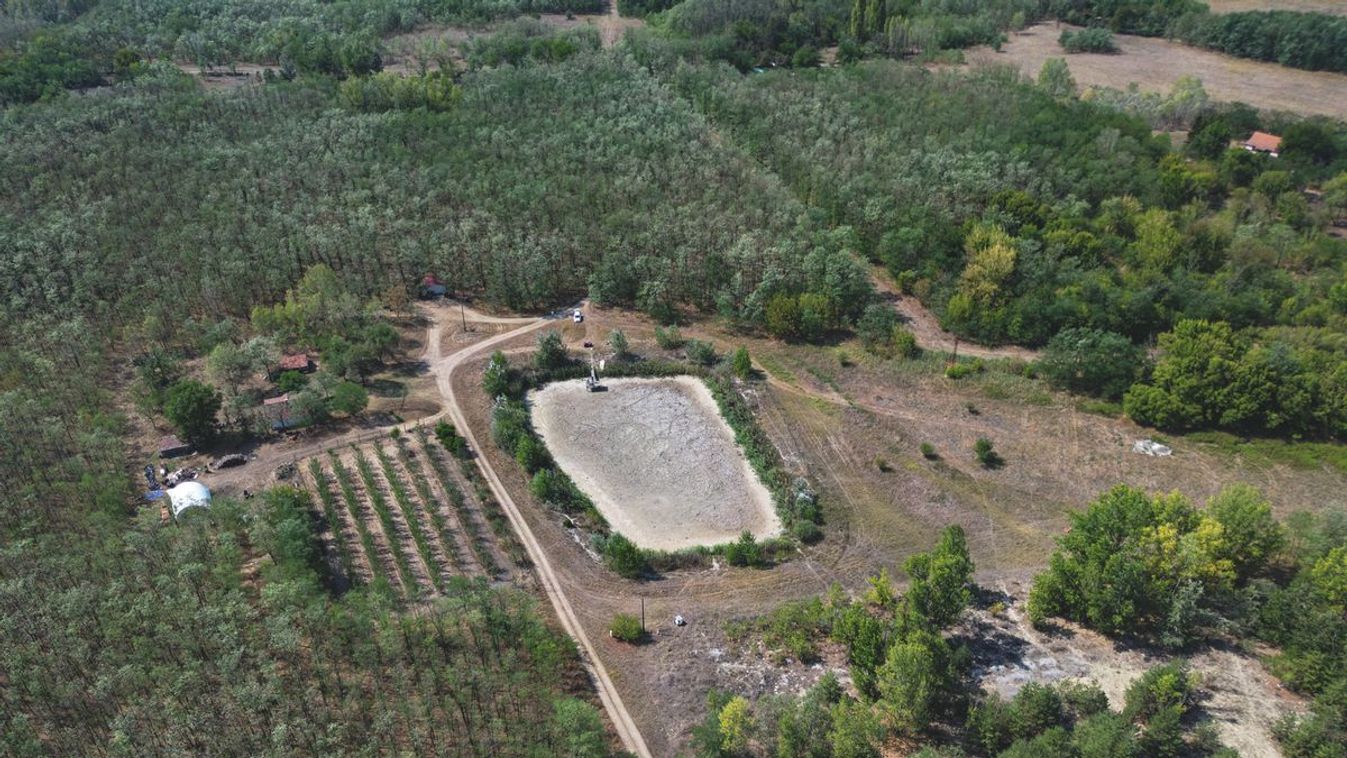 Homokhátság kiszáradása veszélyben az erdőtelepítés