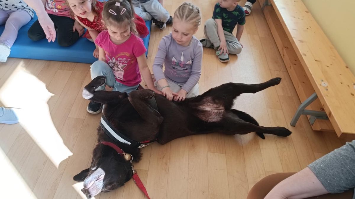 érzékenyítő program, mórahalom,óvoda, bodza