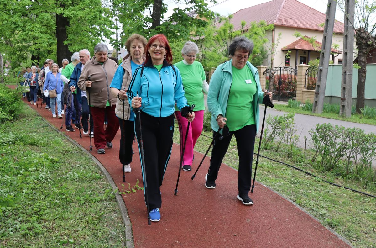 emlékfa, Monspart Sarolta, nordic walking