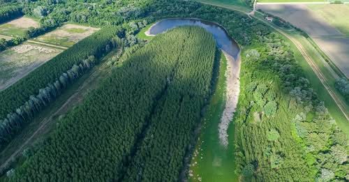 A Holt-Tisza vízhiány miatt drasztikusan leapadt az Akolszögi holtág vízszintje – a meder szinte üresen ásít.
