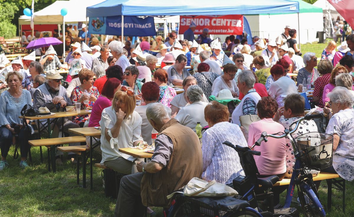 majális, szeged, újszegedi liget, 2025