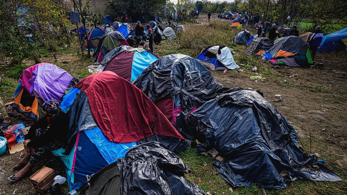 Illegális határátlépés nyomai a magyar határ menti erdőben, ahol az embercsempészek gyakran rejtegetik a migránsokat.