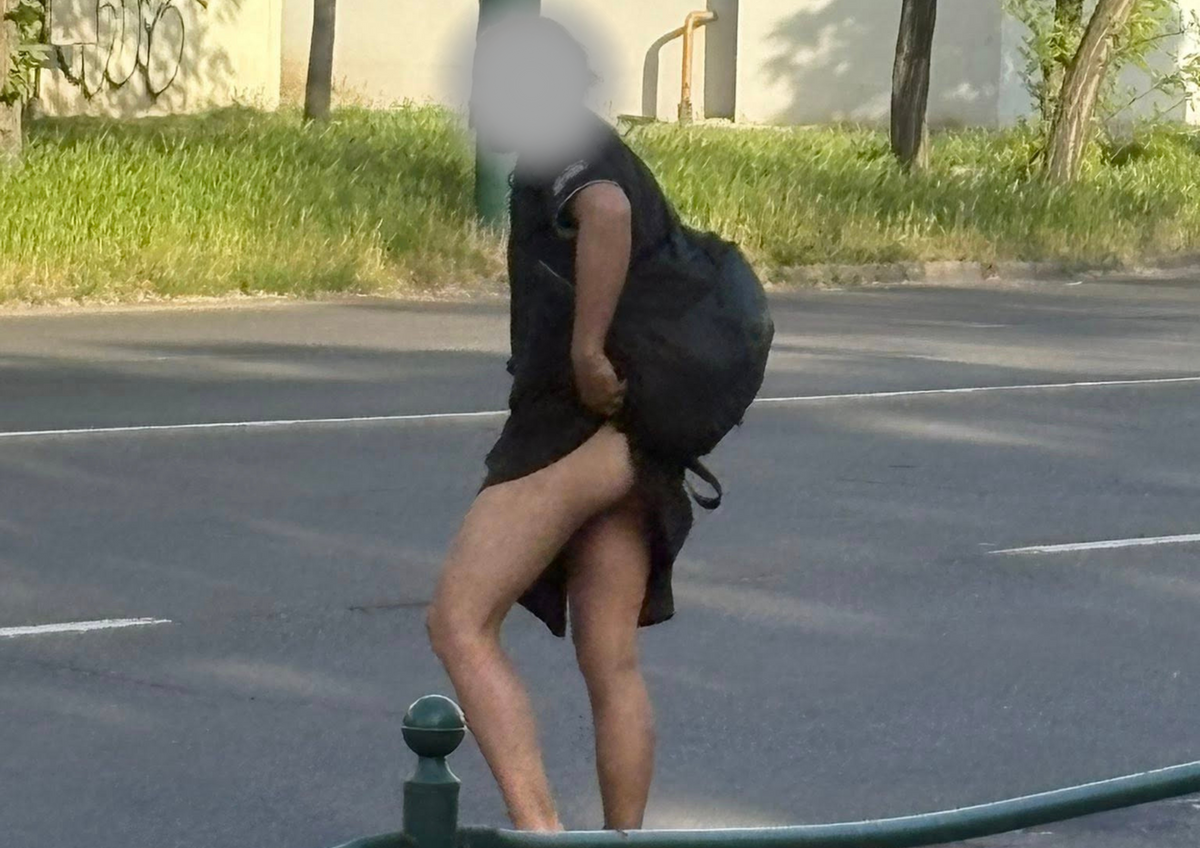 szikés rém, szeged