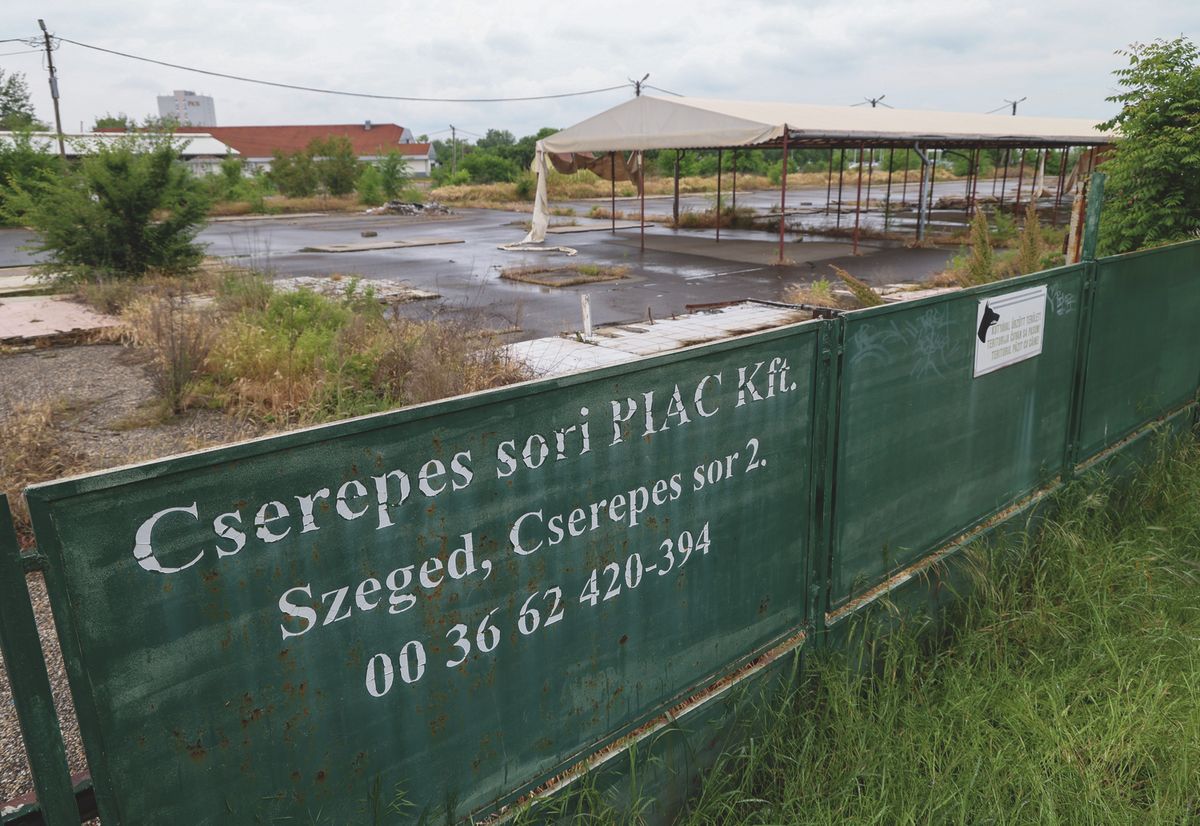 Cserepes sori piac