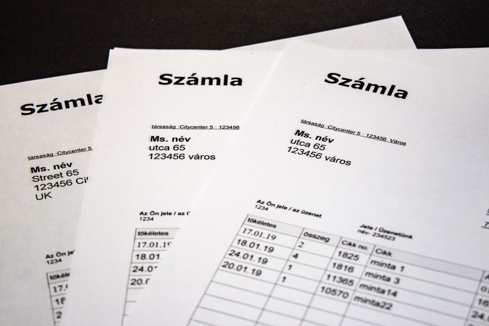 A számlagyár ügye közel félmilliárdos kárt okozott az államnak