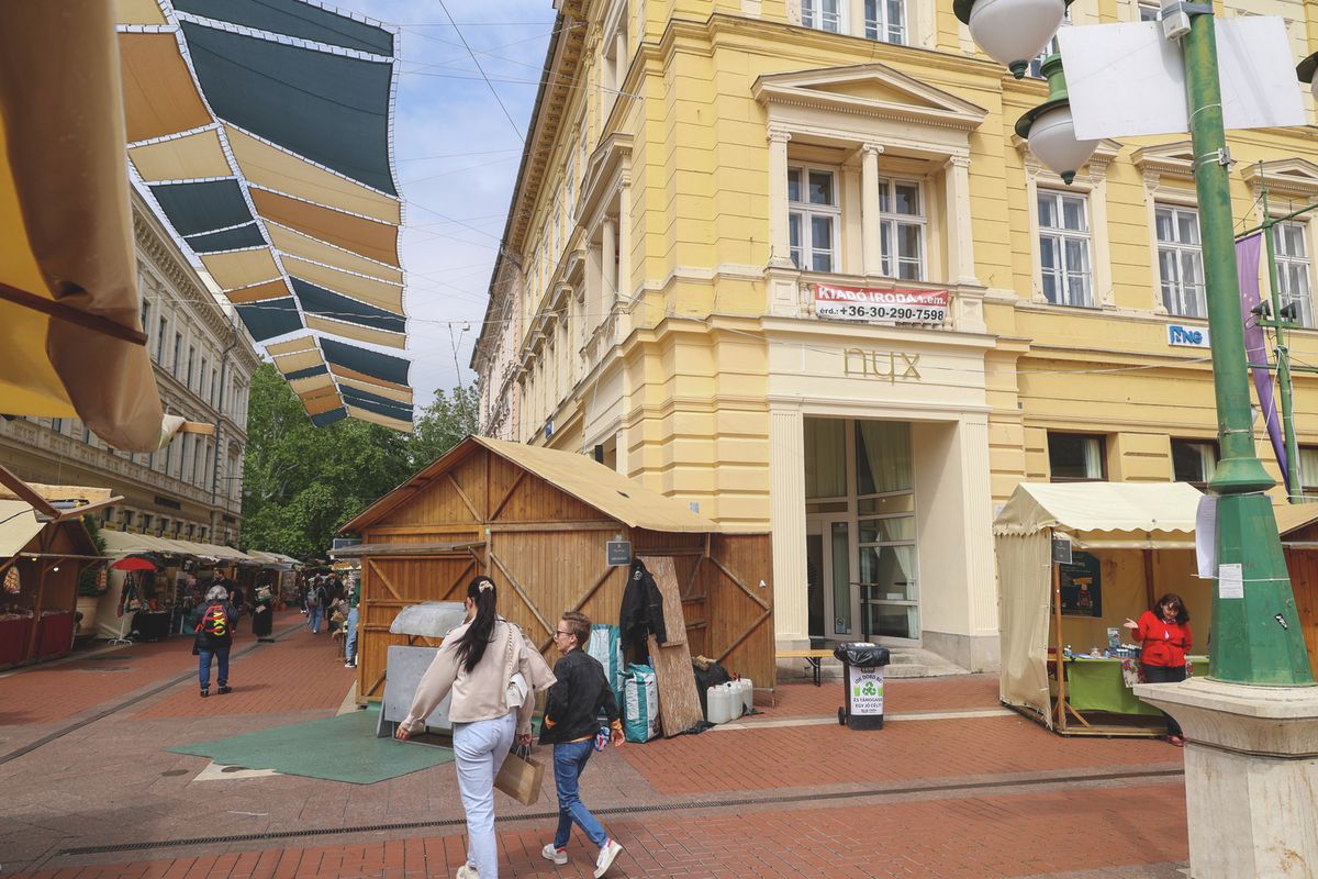Borfesztivál
