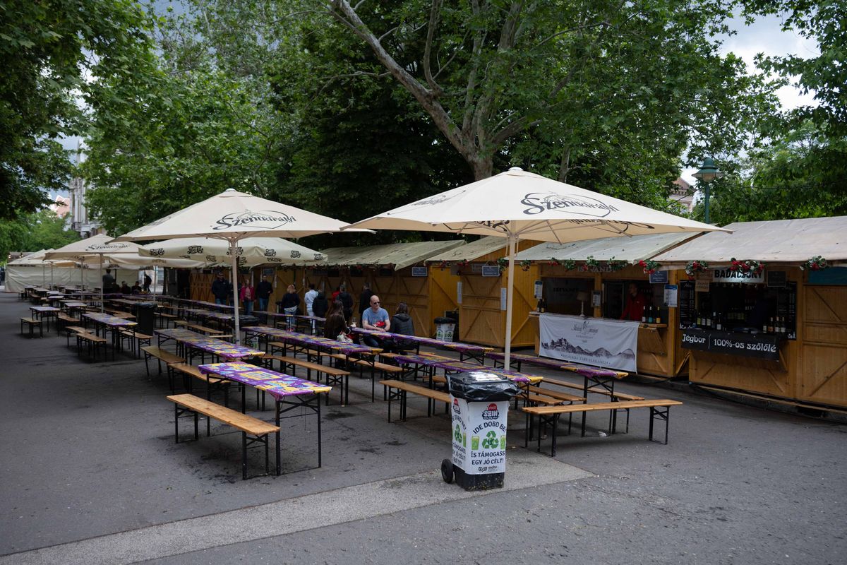 Szegedi borfesztivál