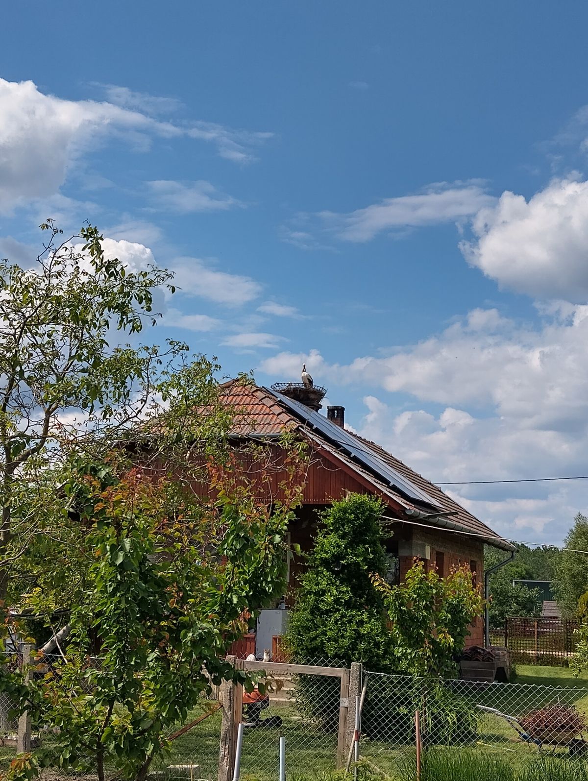 gólyapár