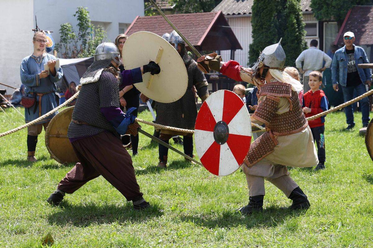 viking majális