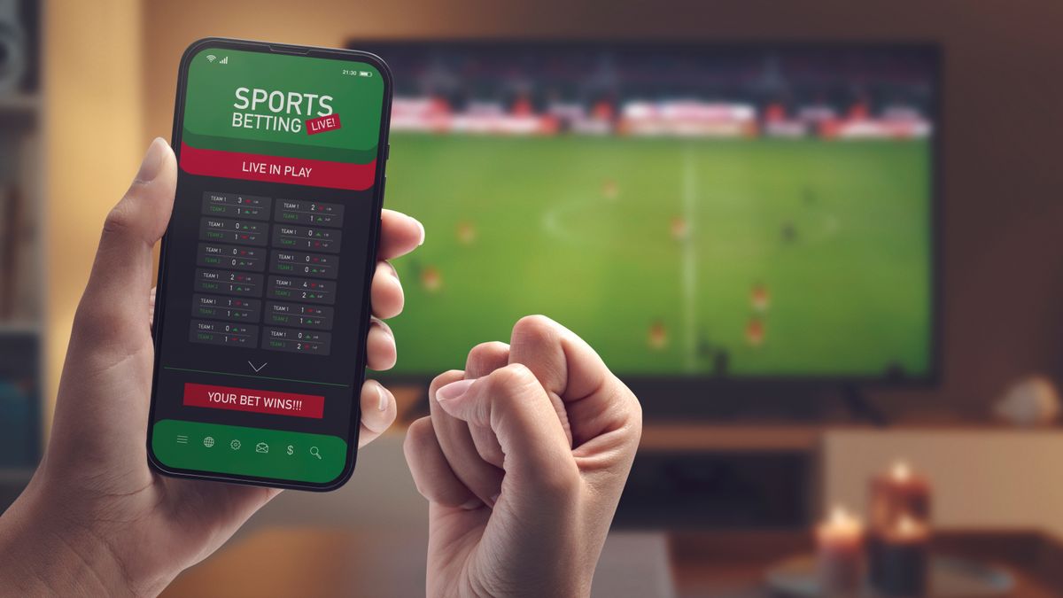 sportfogadás