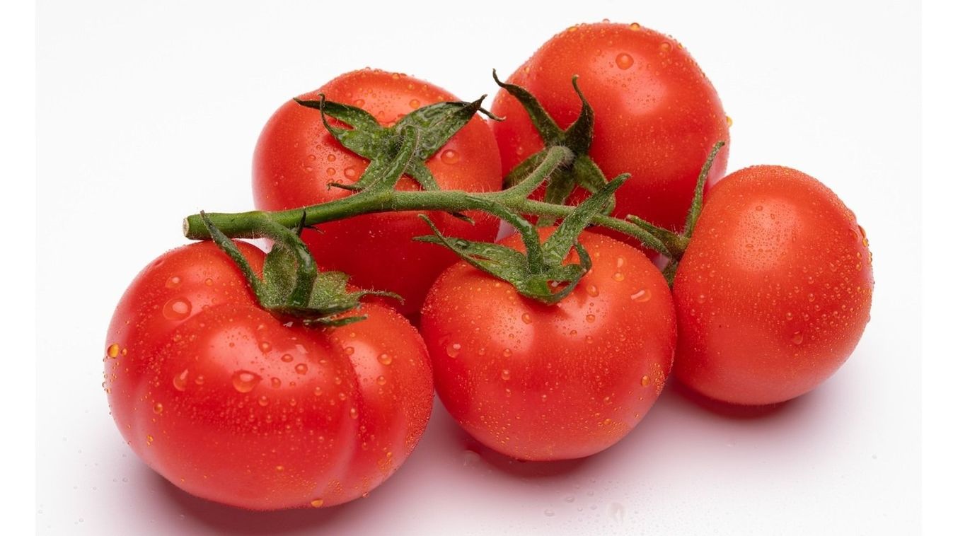 Fürtös paradicsom és kaliforniai paprika akció