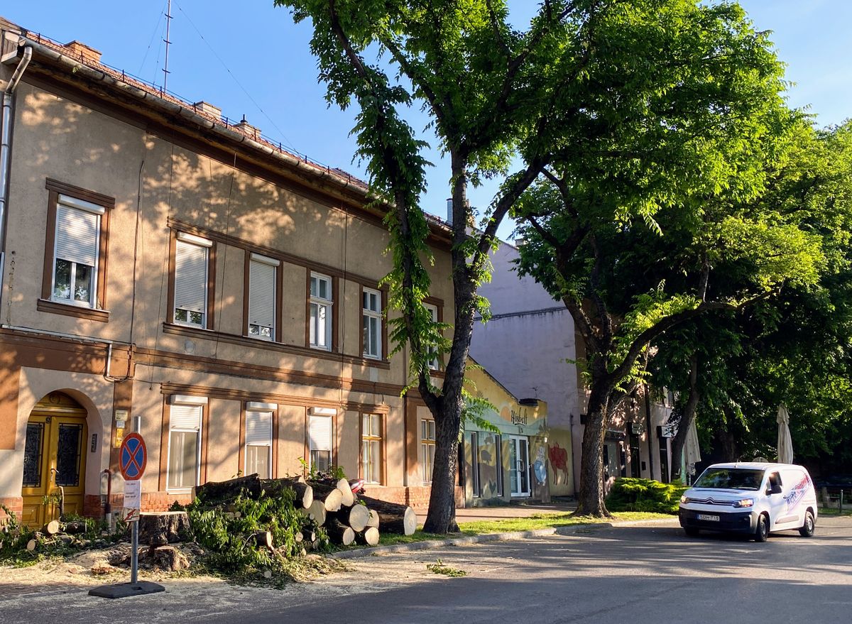 fakivágás