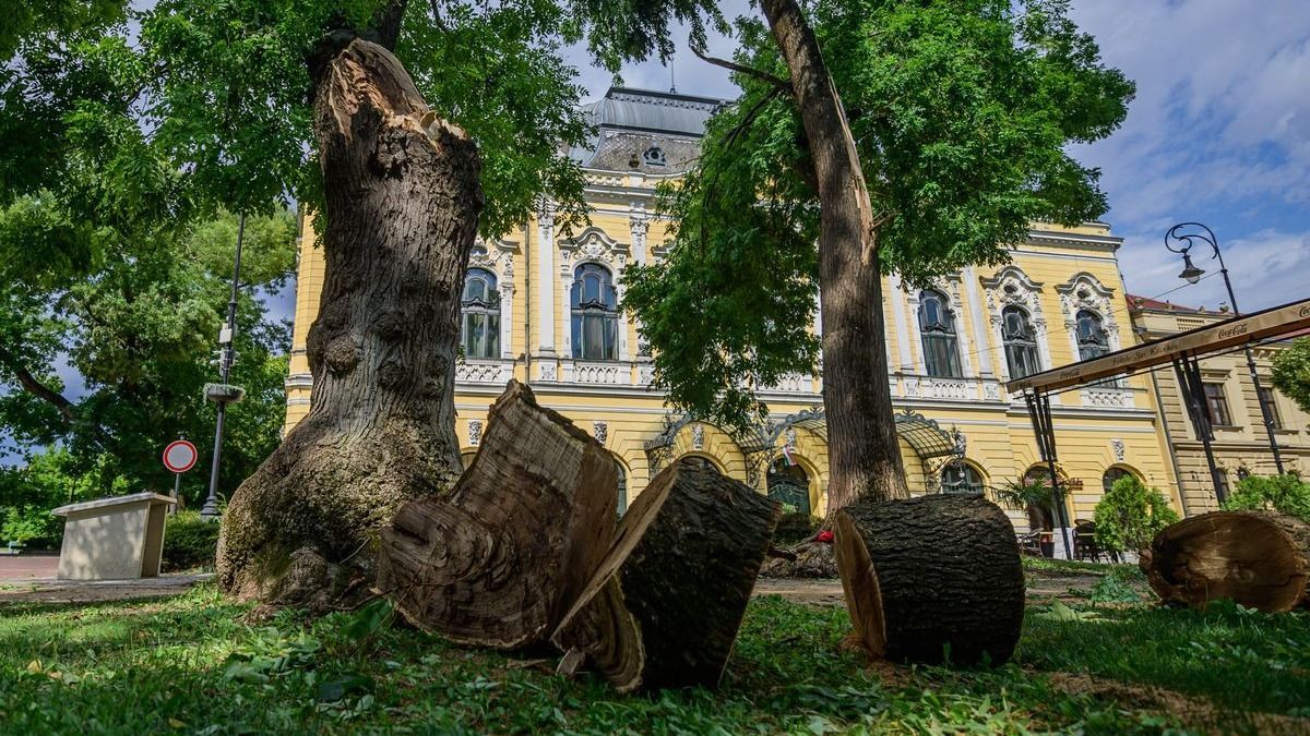 Harmincötezret kapsz, csak kérned kell