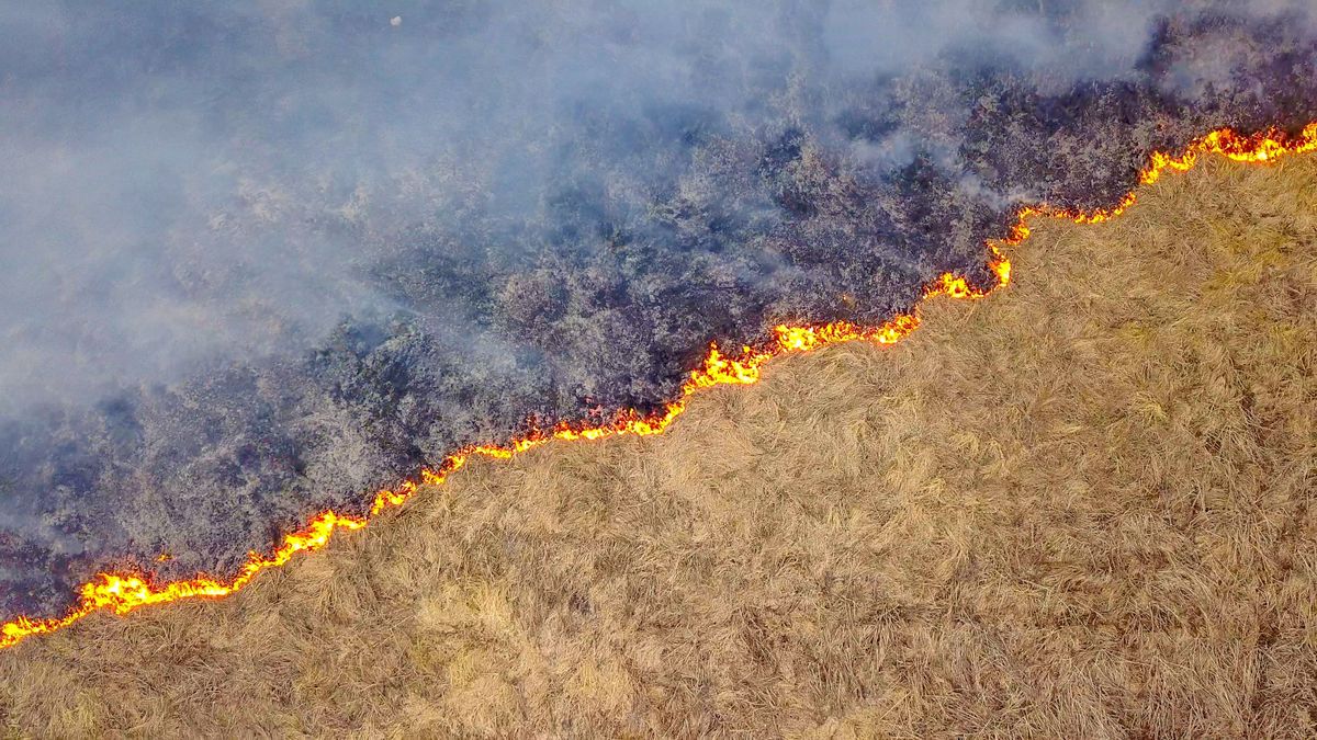 Hatalmas lángok csaptak fel Földeák közelében: több város tűzoltói is a helyszínre siettek
