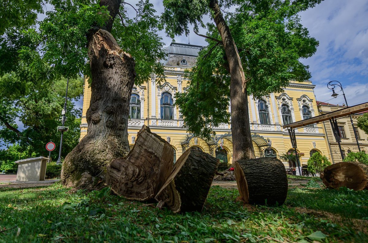 A vihar országszerte hatalmas károkat okozott – a biztosítók gyorsított eljárásban térítik a lakáskárokat.