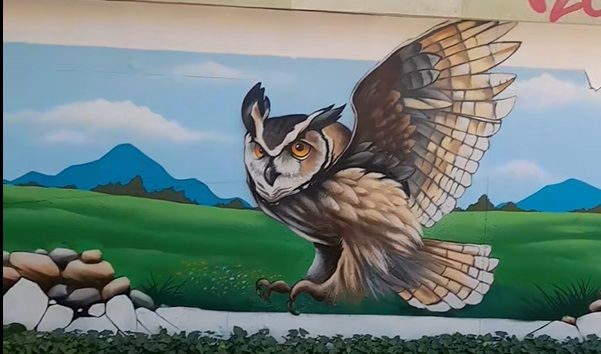 Molnár Zsolt graffitiművész
