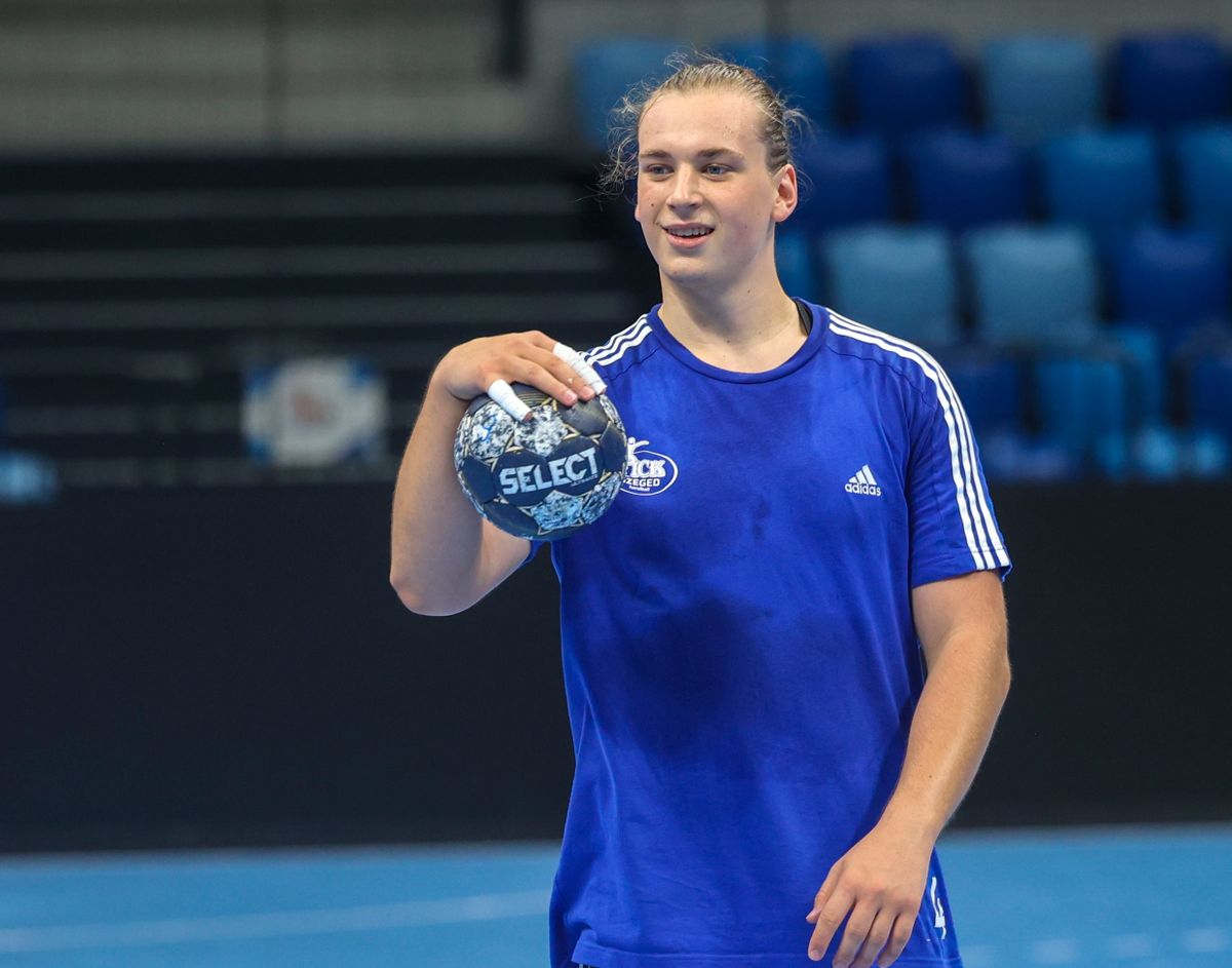 Rea Barnabás, Pick Szeged, Stjarnan, izlandi bajnokság