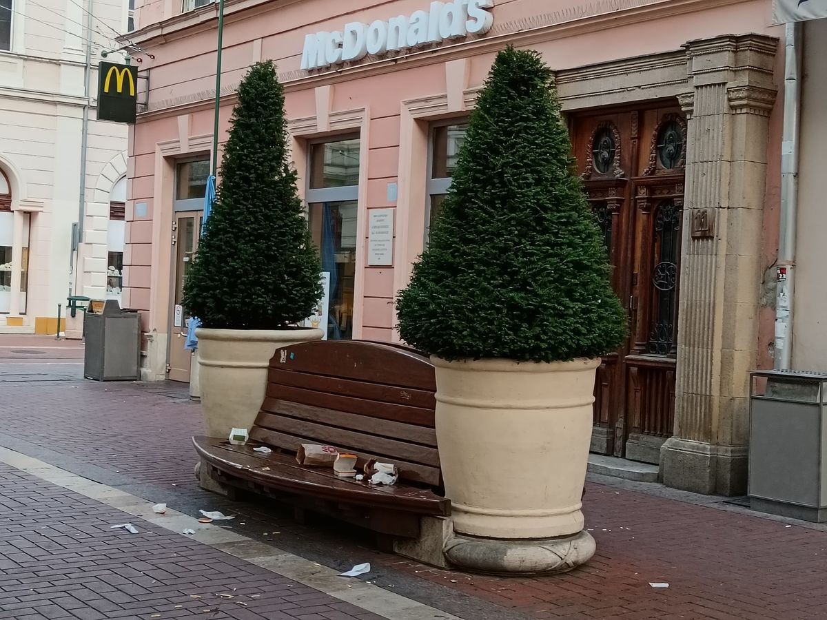 kárász utca, szeged, szemetelés