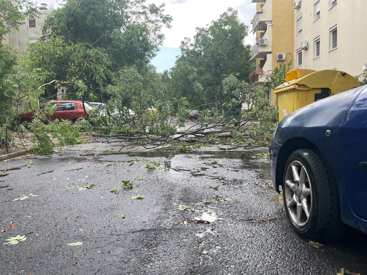 vihar