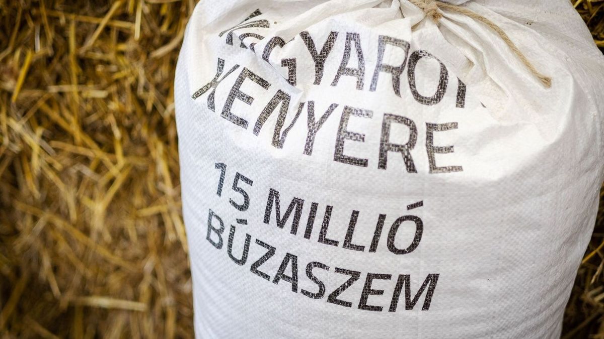 magyarok kenyere