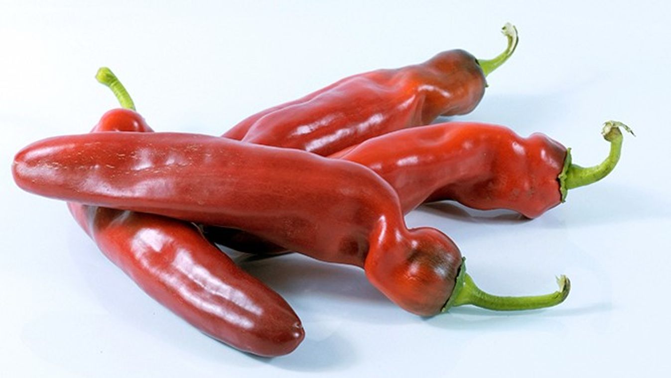 Palermo paprika akció