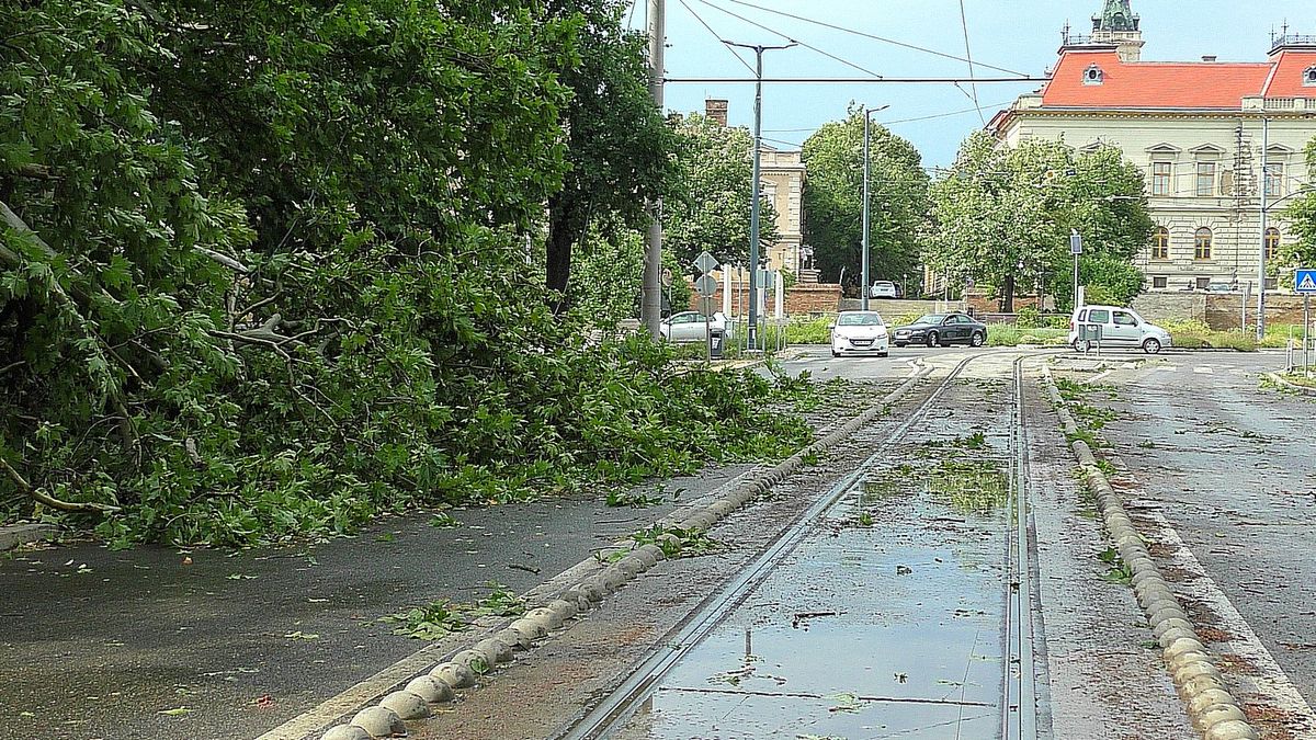 Összesen 800 riasztás érkezett a szegedi központba: a vihart követően fák dőltek, tetők rongálódtak, közlekedés bénult le. Fotó: DM