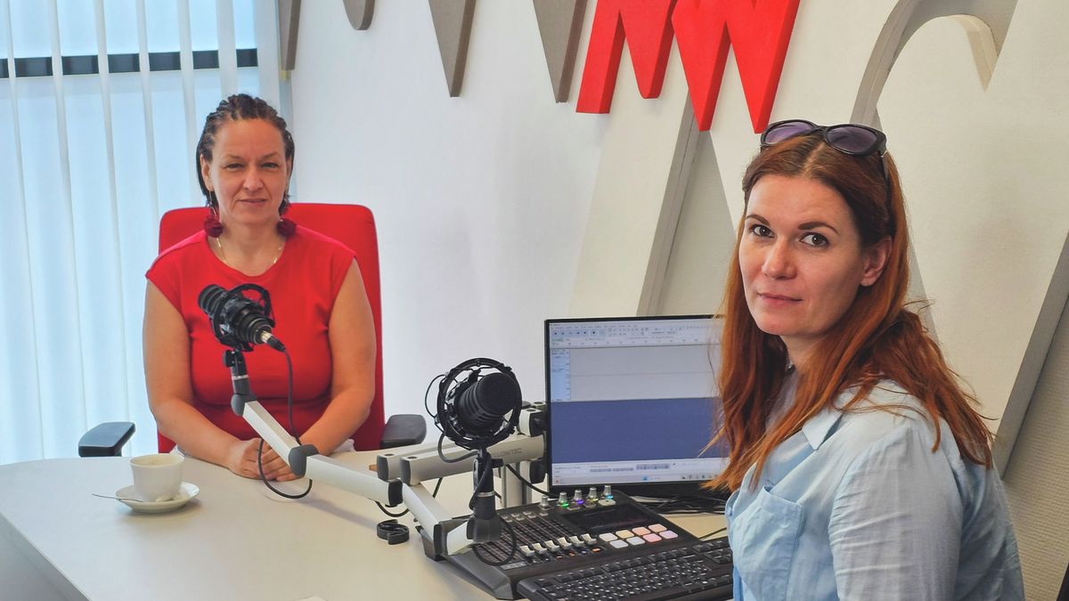 Kutyarideg valóság: ha a kutya harap, a bíró ítél, a gazdi akár ülhet is