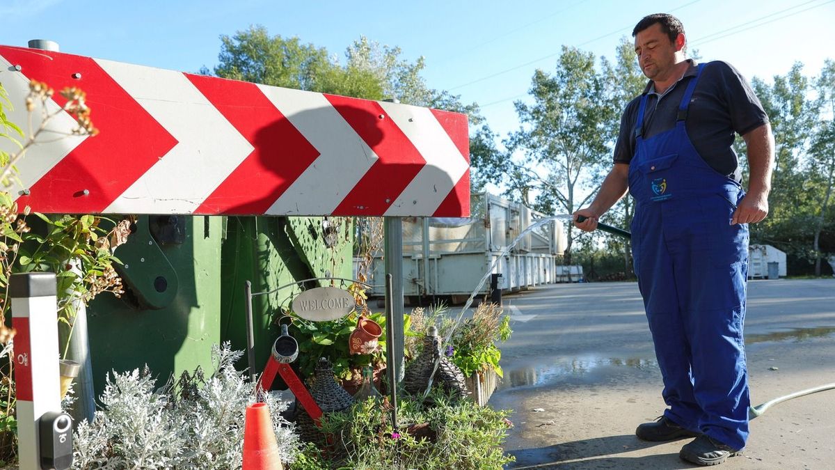 El sem hinnéd, milyen gyűjtemény rejtőzik a szegedi hulladékudvar falai mögött – galériával