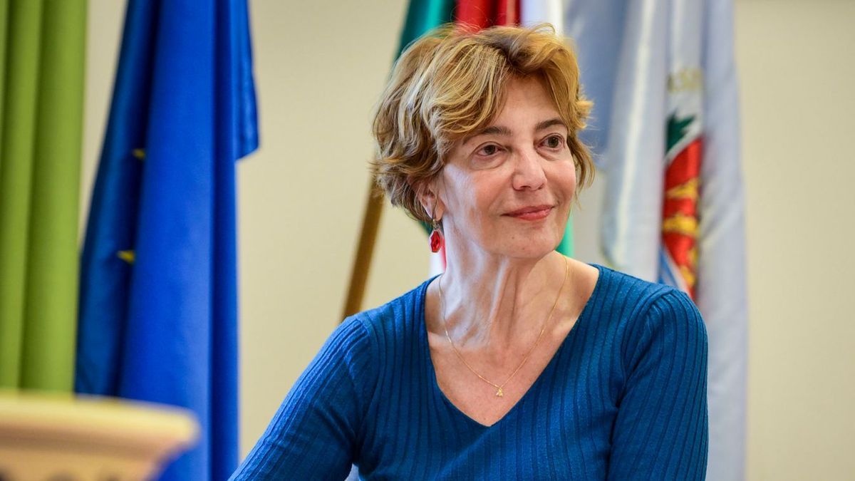 Fendler Judit: edukálni akartam a véleménycikkel, nem politikai üzenetet küldeni