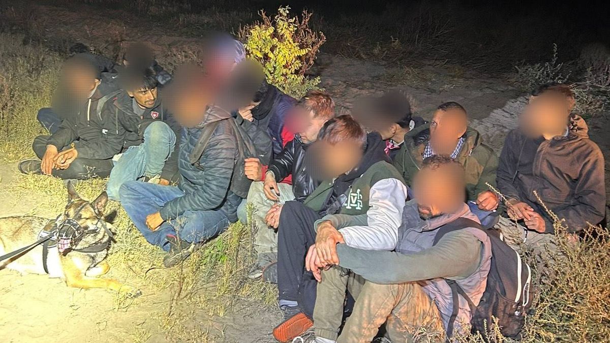 Migránsok gyújthatták fel az erdőt Ásotthalom mellett