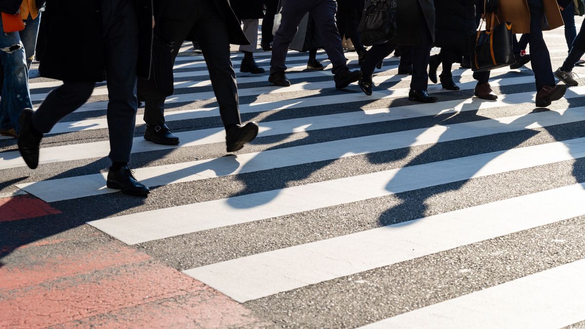 Kiderült, miért került 14 millióba két zebra Mártélyon, nemcsak festék kellett