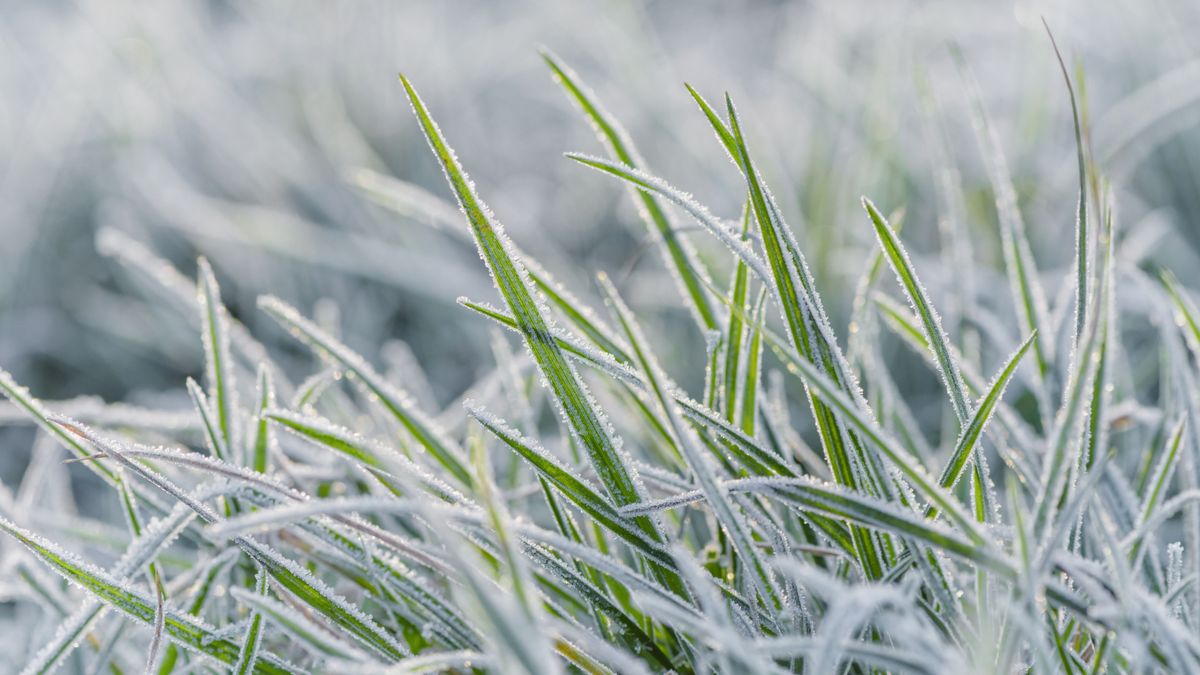 Mínusz 30? Megkérdeztünk egy meteorológust arról, hogy milyen télre számítsunk