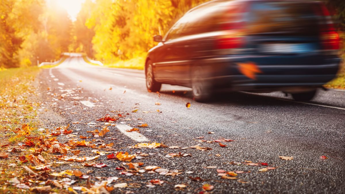 Eltűnik a köd Szeged felett? Holnap kiderül