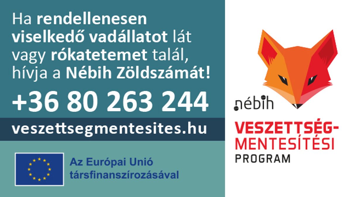 Tegyünk együtt a veszettség megelőzéséért