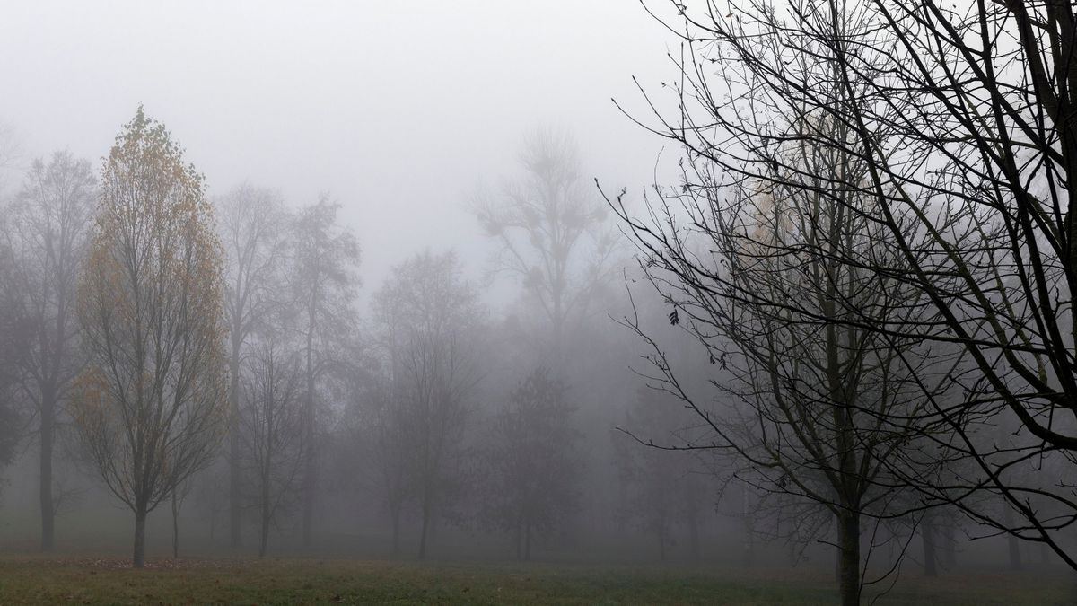 Esős, hűvös nap várható Szegeden