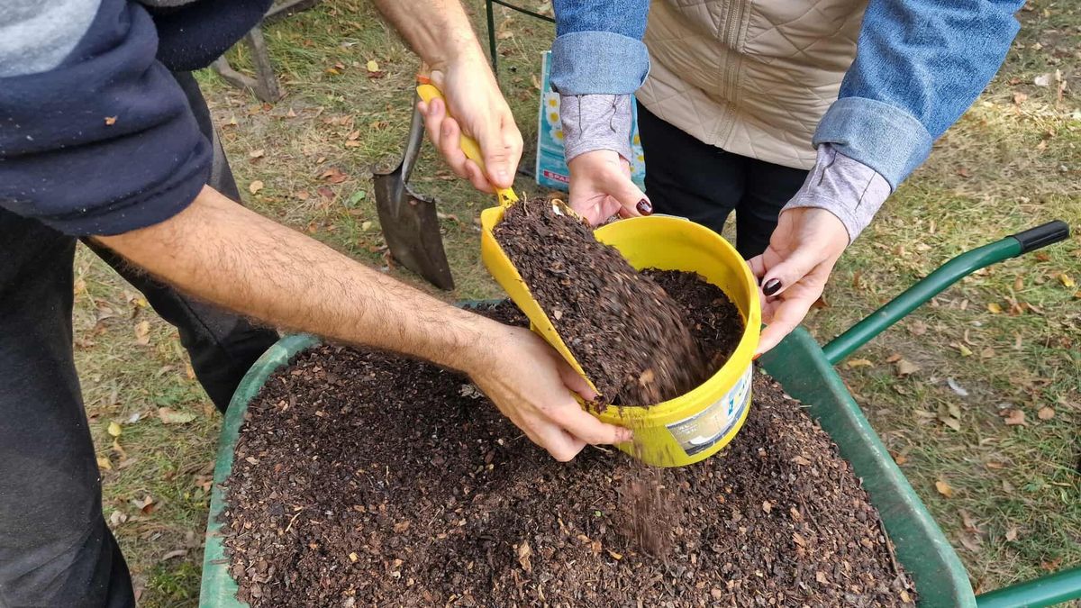 Rég nem látott látogató lepte meg Szegedet, a Komposztfutárok kapták lencsevégre