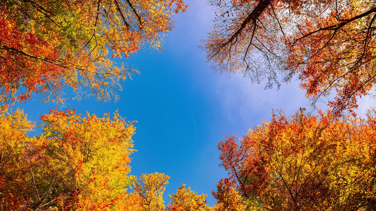 Holnap kiderül, enged-e a ború Szegeden – erre készülj november 12-én