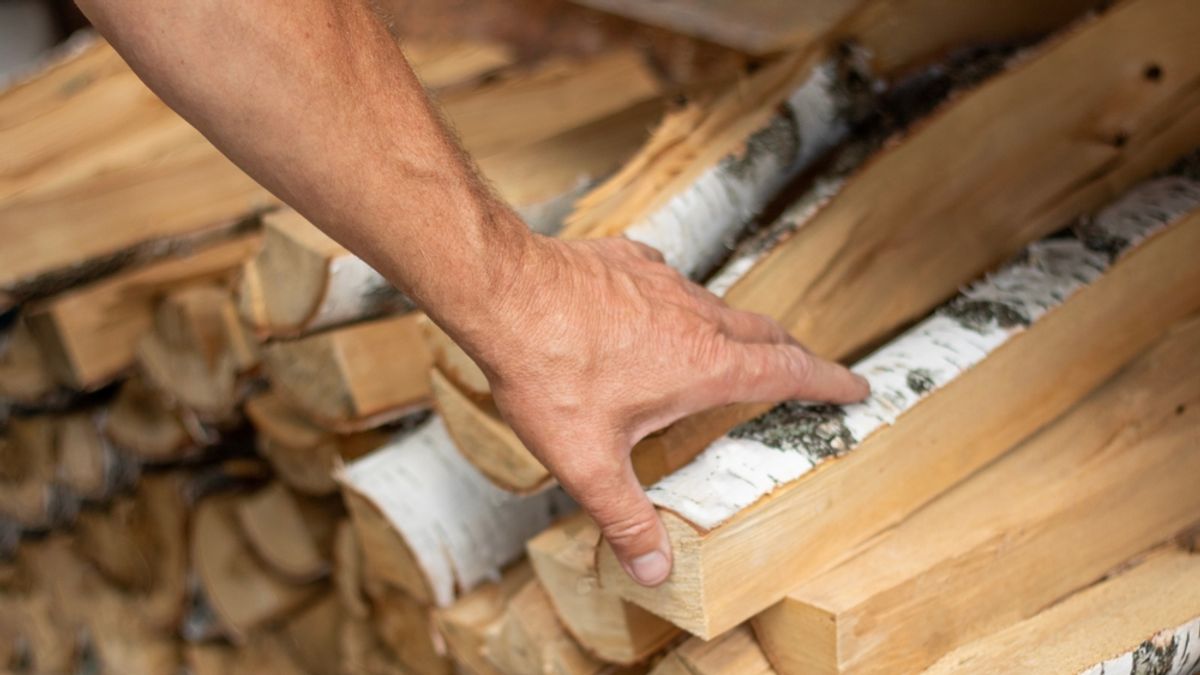 50 ezer forintnyi érték rejtőzhet a tűzifa tönkjében – erre figyelmeztetnek a szakemberek